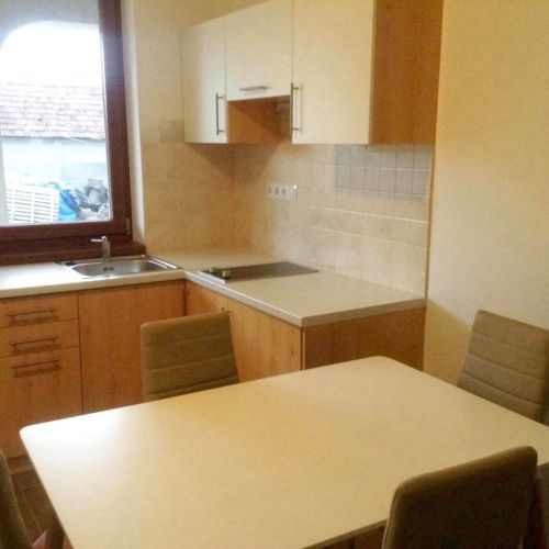 Apartman pro 2 os. s 1 ložnicí v přízemí  (s možností přistýlky)