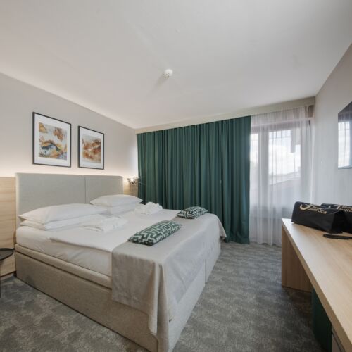 Standard Park View Double Room