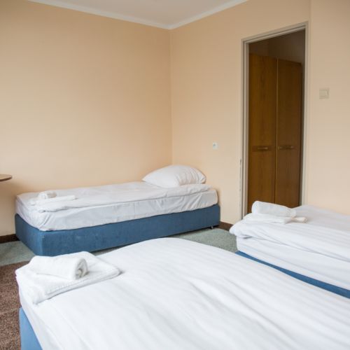 Camera tripla standard