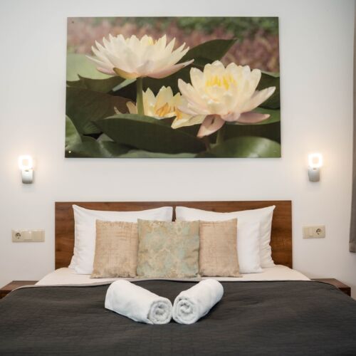 Apartament cu duș cu bucătărie proprie cu 1 camera pentru 2 pers. (se poate solicita pat suplimentar)