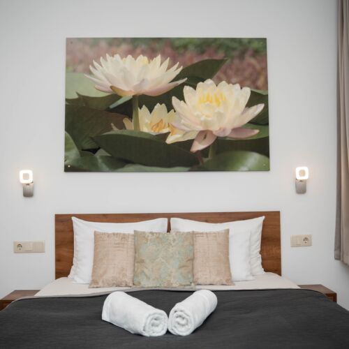 Apartament cu duș cu bucătărie proprie cu 1 camera pentru 2 pers. (se poate solicita pat suplimentar)