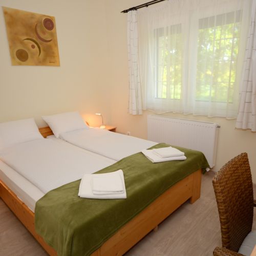 Camera dubla confort cu aer conditionat