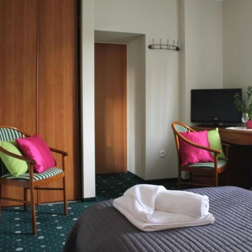 Camera twin cu vedere spre munte