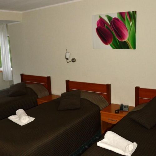 Camera tripla cu vedere spre munte