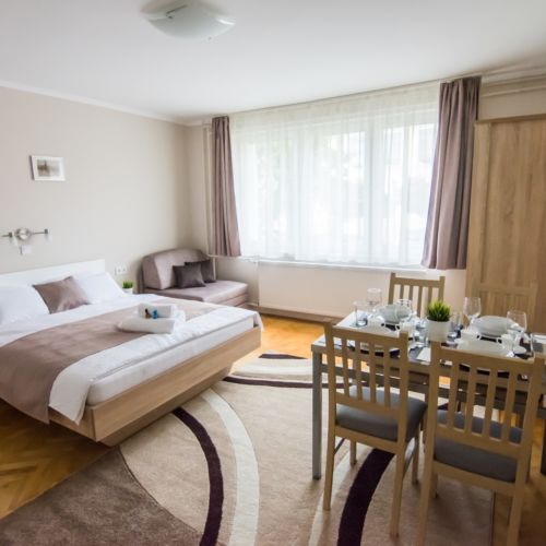 Apartament la parter cu aer condiționat cu 1 camera pentru 3 pers.