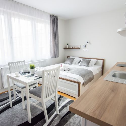 Apartament la etaj cu panoramă cu 1 camera pentru 2 pers.