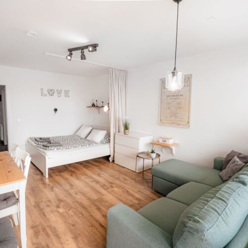 Panoramic Pleasant Interior Design 2-Room Apartment for 4 Persons