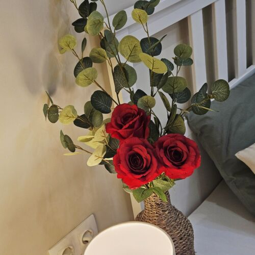 Camera dubla la parter cu bucătărie proprie (se poate solicita pat suplimentar)