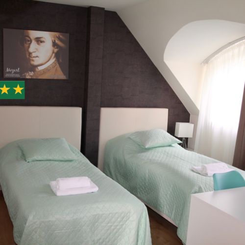 Lux Air Conditioned Twin Room