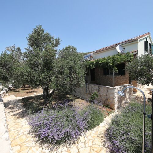 Apartament 4-osobowy z klimatyzacją z widokiem na morze z 2 pomieszczeniami sypialnianymi K-8413