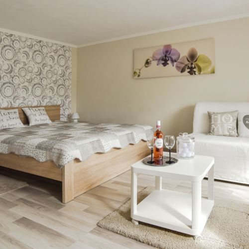 Apartament deluxe la parter cu 1 camera pentru 2 pers. (se poate solicita pat suplimentar)