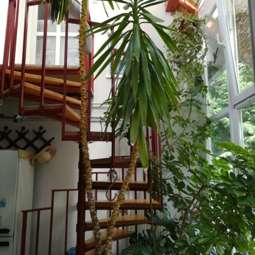 Apartament 4-osobowy na poddaszu z klimatyzacją z 2 pomieszczeniami sypialnianymi