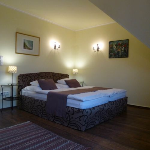 Camera dubla studio cu aer condiționat (se poate solicita pat suplimentar)