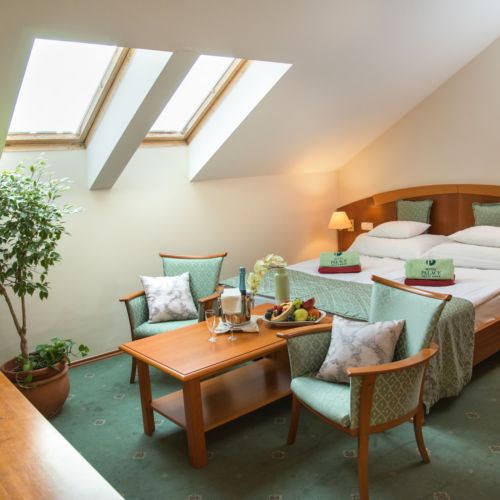 Camera dubla economy la mansarda