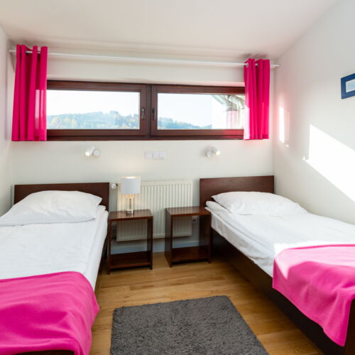 Economy Mountain View Twin Room