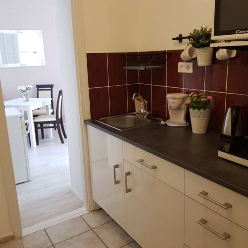 Apartament classic cu vedere spre grădină cu 2 camere pentru 4 pers. (se poate solicita pat suplimentar)
