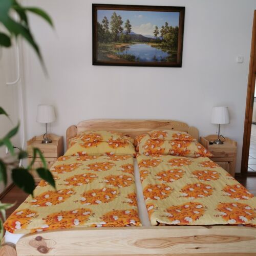 Mountain View Ground Floor 2-Room Apartment for 5 Persons