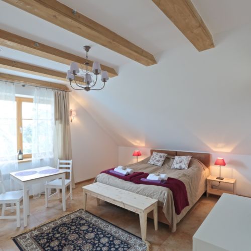 Apartament 2-osobowy Komfort Przyjazny podróżom rodzinnym z 1 pomieszczeniem sypialnianym