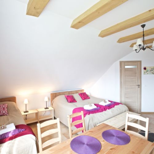 Apartament 3-osobowy Komfort Przyjazny podróżom rodzinnym z 1 pomieszczeniem sypialnianym