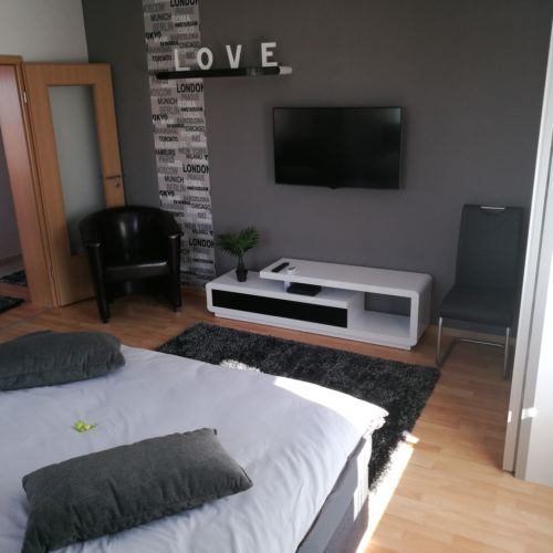 Apartament confort premium cu 1 camera pentru 3 pers.