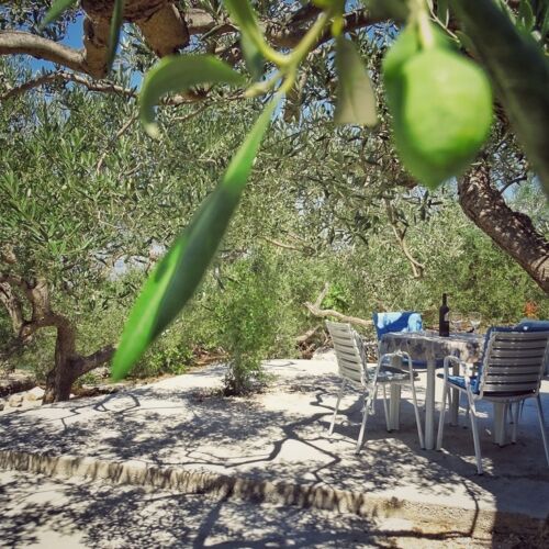 Apartament cu aer condiționat cu 1 camera pentru 3 pers. K-14500