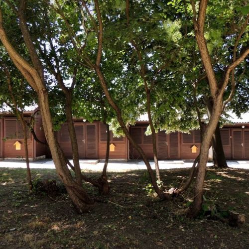 Garden View Chalet for 4 Persons with Shared Bathroom