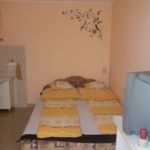 Apartmán so sprchou s vlastnou čajovou kuchynkou s manželskou posteľou s 1 spálňou