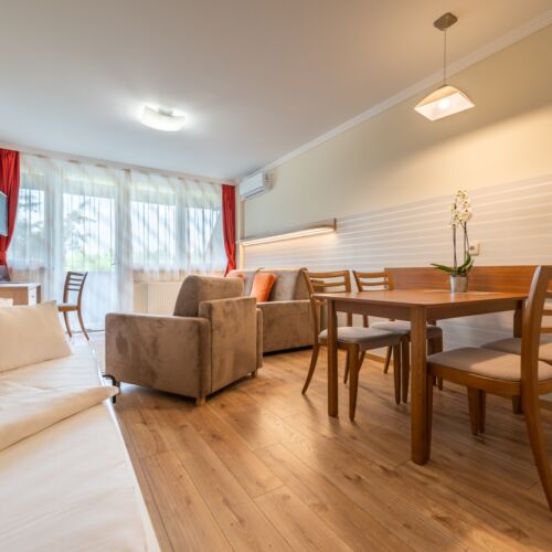 2-Room Apartment for 4 Persons (extra bed available)