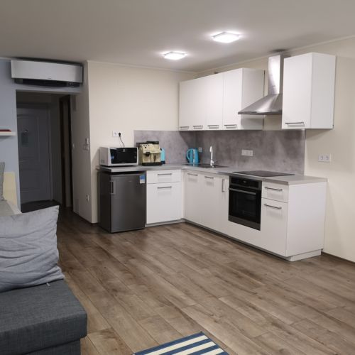 Apartament 4-osobowy Premia Przyjazny podróżom rodzinnym z 1 pomieszczeniem sypialnianym