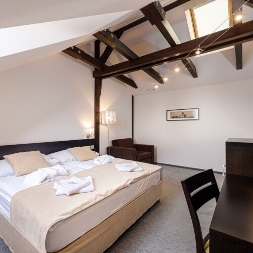 Economy Design Double Room (extra bed available)