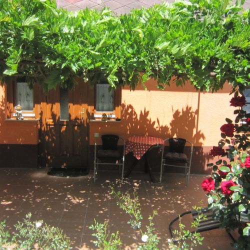 Domek całoroczny 4-osobowy cały dom udogodnienia dla niepełnosprawnych