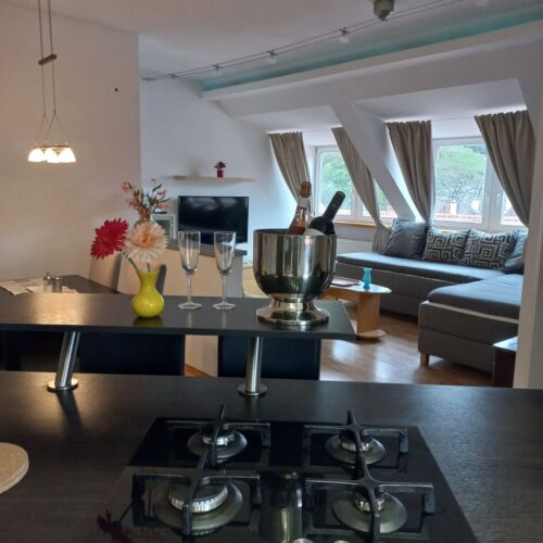 Apartament 5-osobowy Gold Business Plus