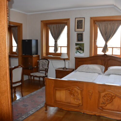 Superior Forest View Double Room (extra bed available)