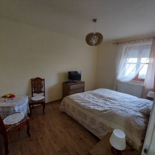 Pokój 2-osobowy na parterze z widokiem na park (możliwa dostawka)