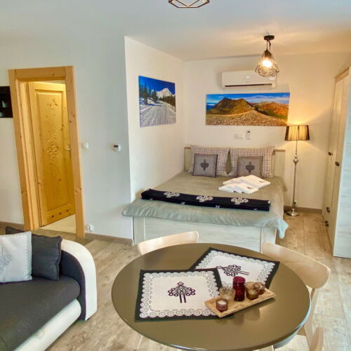 Apartament 4-osobowy z klimatyzacją z aneksem kuchennym z 1 pomieszczeniem sypialnianym (możliwa dostawka)