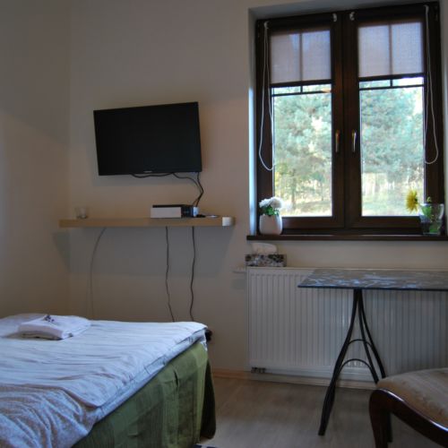 Camera single la parter cu vedere spre grădină