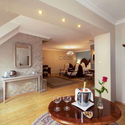 Camera dubla prezidential cu vedere spre curte