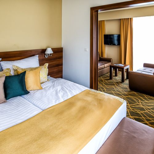 Deluxe 1-Zimmer-Suite für 2 Personen (Zusatzbett möglich)