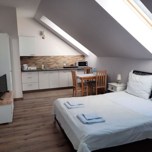 Pokój 3-osobowy z łazienką z aneksem kuchennym