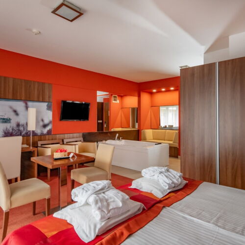 Camera dubla romantică king