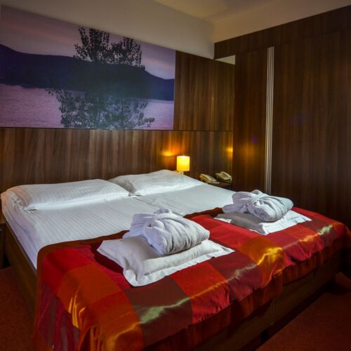 Camera twin standard cu balcon