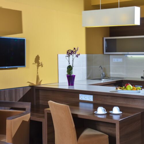 Apartament superior cu terasă cu 1 camera pentru 2 pers.