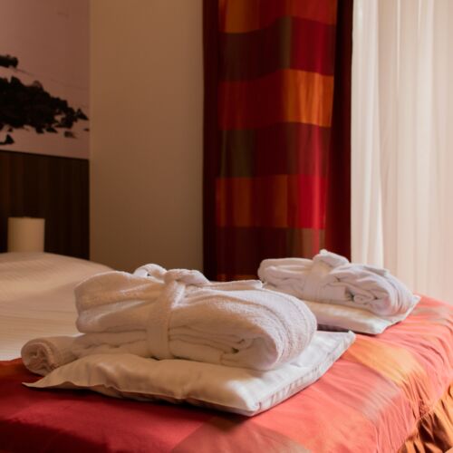 Camera dubla superior accesibil(ă) persoanelor cu dizabilități