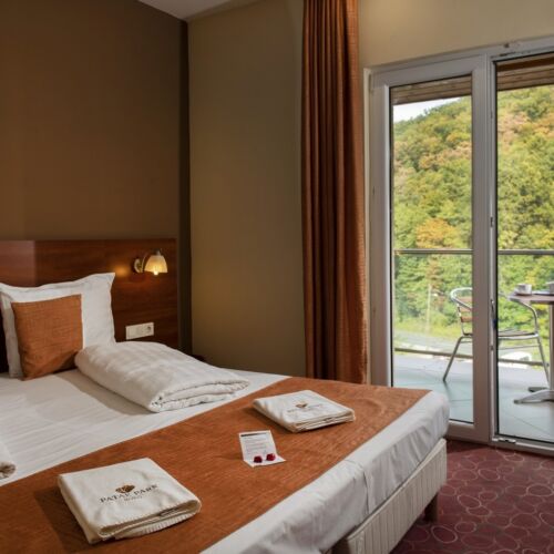Forest View Gallery Twin Room (extra bed available)