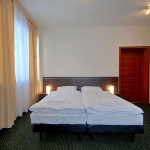 Standard Mountain View Twin Room