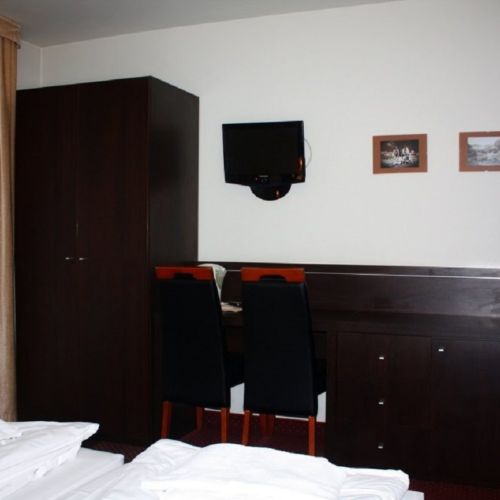 Standard Mountain View Double Room