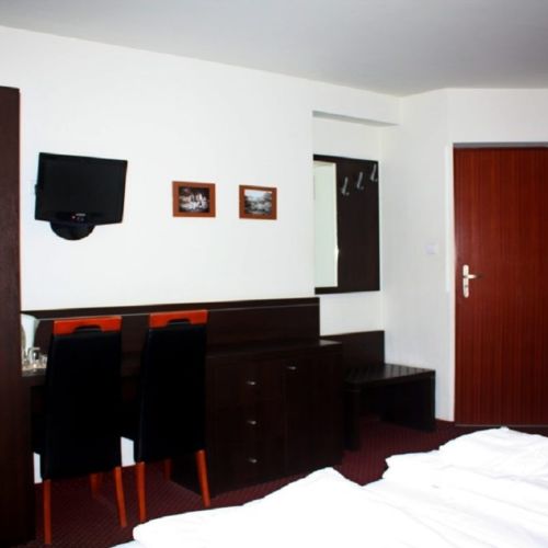 Standard Mountain View Twin Room
