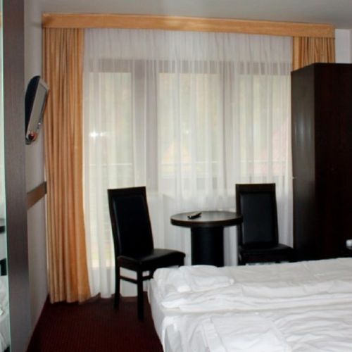 Standard Mountain View Double Room