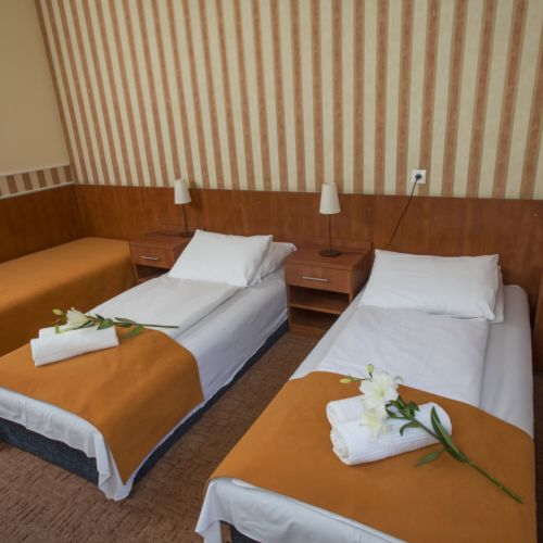 Pokój 1-osobowy z łazienką