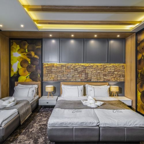 Camera tripla standard cu duș